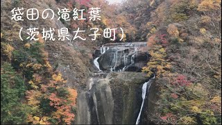 2022/11/13　袋田の滝紅葉（茨城県大子町）