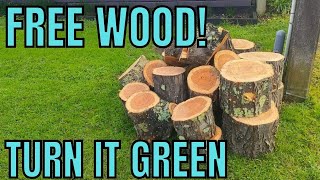 Woodturning Project - A pair of Gleditsia Wood Crotch Green Wood Bowls