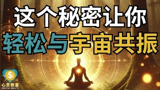 这个神秘法则，让你轻松与宇宙共振！让宇宙帮你实现梦想 | 心灵致富 Soulful Wealth