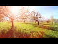 Departures Memory-432Hz