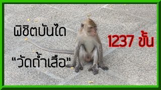 พิชิตบรรได 1237 ขั้น | Vlog วัดถ้ำเสือ จ.กระบี่