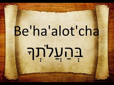 Shabbat Parashat Behaalotecha - Weekly Torah Portion - Moshe And ...