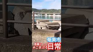 奄美大島(・∀・)2024年12月20日