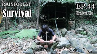 Thử Thách Sinh Tồn Trong Rừng Mưa Một Mình -EP.44 |Survival Alone In The Rainforest