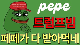 [페페 코인] 페페 돌았네.... 트럼프가 쏘아올린 상승빔. 페페가 그대로 흡수!