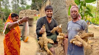 বোলপুর থেকে ইলিশ মাছ এনে রান্না করার আলু তুলতে সারাদিন কেটে গেল ||