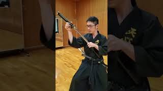 Battojutsu Gyakuto | 逆刀