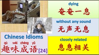 Daily Chinese Idioms 成语(chéng yǔ) [24]: 息息相关、无声无息、奄奄一息| Interesting Chinese Idioms | 中文趣味成语