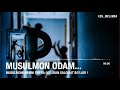 musulmon odam musulmonlar uni tili va qo lidan salomat bo ladi ~ shayx abdulloh zufar hafizahulloh