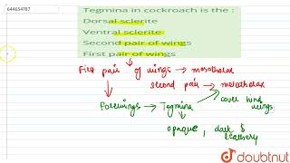 Tegmina in cockroach is the :  | 12 | STRUCTURAL ORGANISATION IN ANIMALS  | BIOLOGY | VMC MODULE...