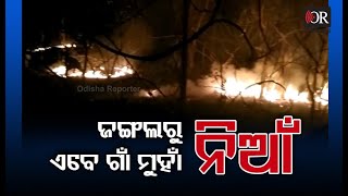 Fire Is Now Spreading From The Forest To Village | Odisha Reporter