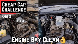 Clean Engine Bay Spotless! Holden Commodore Cheap Car Challenge PT3