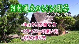 河村通夫のらくらく園芸13年5月 キュウリの育て方 ガリの作り方