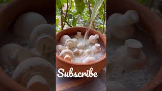 How to clean Mushroom like a PRO💯 me know......#mushroom  #cleaningreels #trendingreels