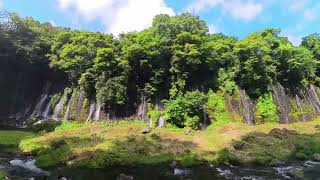 [風景分享] 富士宮 白絲瀑布/白糸の滝 (靜岡) @SceneryVideos-Kaffee #360video #videoedit