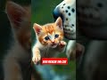 a brave dog rescues a helpless cat pets​ lindo​ chien​ mascotas​ animals dogshorts​ dancing