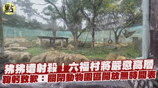 【每日必看】狒狒遭射殺！六福村將嚴懲高層 鞠躬致歉:關閉動物園區開放無時間表 @中天新聞CtiNews