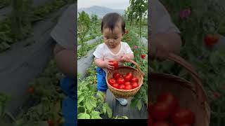 funny video Baby #kid #baby #cute #love #funny #cute #fyp #trending #viral tiktok #viral vide 86