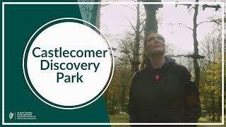 Castlecomer Discovery Park