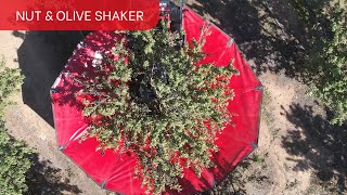 The Ultimate Tree Shaker for Almonds and Olives | AutoPick GTi