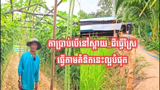 តាប្រាប់បើនៅស្តាយ_ដីធ្វើស្រែធ្វើតាមគំនិតនេះល្អបំផុត