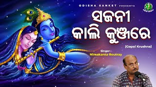 Sajani Kali Kunja Re - Nimakanta Routray || Odissi Song || Shree Krushna Odissi Song | Odisha Sanket