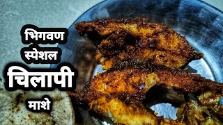 Chilapi fish fry | भिगवण स्पेशल चिलापी मासा