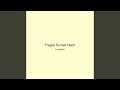 Fragile Sunset Neon