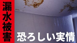 天井から水漏れ…。恐ろしい漏水被害の現場【マンション】【ナカノヤチャンネル】