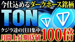 【仮想通貨TON(トンコイン)】時価総額DOGE超え！需要高騰中の$TONで100倍を狙う！将来性や期待値を徹底解説【SOL】