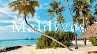 Maldives 12K HDR 60fps Dolby Vision | A Breathtaking Visual Experience