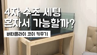 4자 수조 세팅 혼자서도 가능할까?