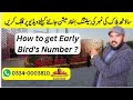 How to get Early Bird Number? South Block Balloting Information | Realtor Ghalib