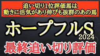 【ホープフルステークス2024】最終追い切り評価！個人的追い切り1位は動きに活気があり持ったままで伸びたあの馬！