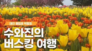 [수와진의 버스킹 여행] 태안 튤립꽃 박람회 (23.5.1)