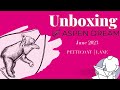 Unboxing Aspen Dream at Petticoat Lane June 2023