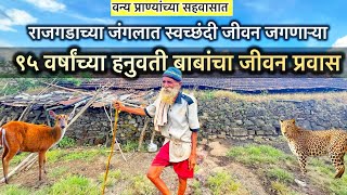 राजगडाच्या घनदाट जंगलातील वाघरू - हनुवती फणसे बाबांचा संपुर्ण जीवन प्रवास🐆🦌🌳