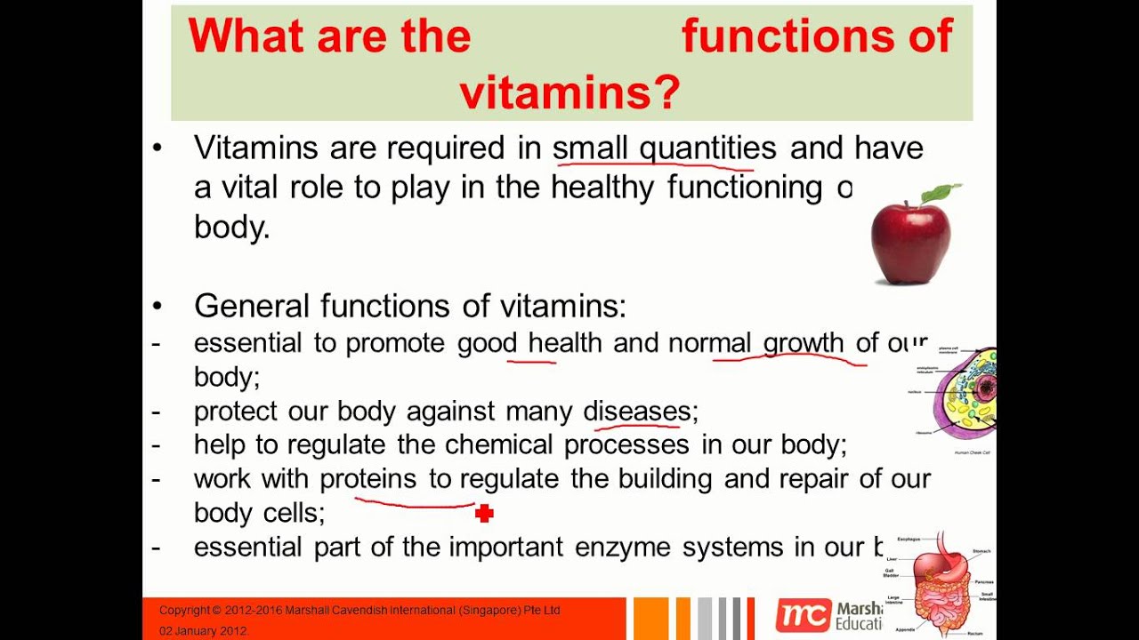 Introduction To Vitamins - YouTube