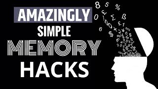 Simple Steps to Improve Your Memory