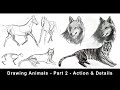 Drawing Animals for Beginners - Part 2 - Action, Foreshortening & Details