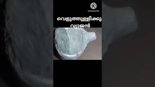 വെളുത്തുള്ളിക്കും വ്യാജൻ #malayalamnewslive​ Keralanews​ #malayalambreakingnews #realinfobits