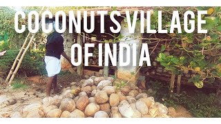 EP02||VILLAGE LIFE|COCONUT VILLAGE|TIPTUR|KARNATAKA|VILLAGE TOUR|INDIAN VILLAGE|KARADALU|DPAKKFILMS