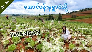 [EngSub] 🇲🇲 A Visit to Myathapaik Blue Lake in Ywangan