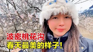 318川藏线一道靓丽的风景，波密桃花沟，这才是春天最美的样子！【罗立在流浪】