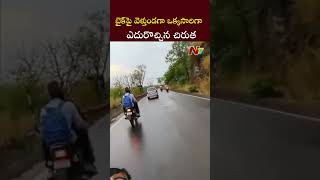 బైక్ పై వెళ్తుండగా ఒక్కసారిగా ఎదురొచ్చిన చిరుత | Ntv