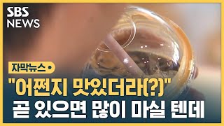 없을 것 같죠? 다 있습니다…올 여름 '아이스' 조심하세요 (자막뉴스) / SBS