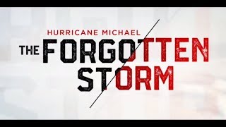 The Forgotten Storm: The cost of cleaning up debris from Hurricane Michael - NBC 15 WPMI