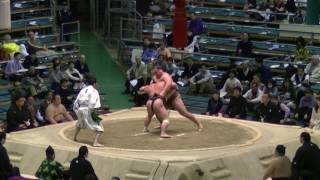 勝誠-宝香鵬/2017.3.20(15)/shosei-hokaho/day9 #sumo