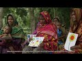 investing in healthy mothers and children in bangladesh