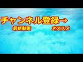 キットが誘拐された😱【茶番 フォートナイト】